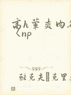 高h荤爽肉欲文〈np封面