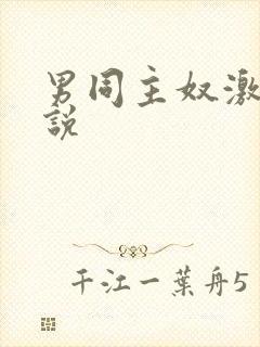 男同主奴激情小说封面