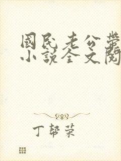 国民老公带回家小说全文阅读免费