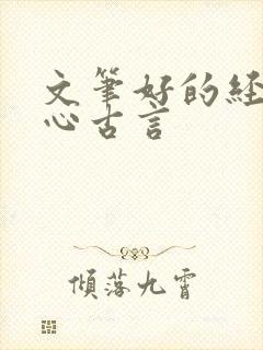 文笔好的经典虐心古言