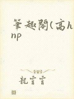 笔趣阁(高h)np
