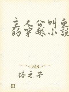 主人公叫东方羽的穿越小说