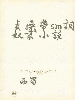 贞操带sm调教奴隶小说封面