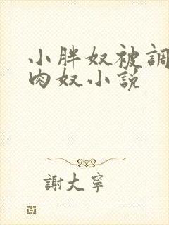 小胖奴被调教成肉奴小说