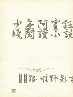 少年阿宾钰慧在线阅读小说txt