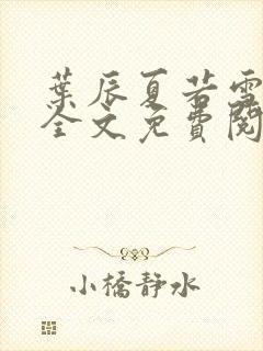 叶辰夏若雪孙怡全文免费阅读最新章节封面