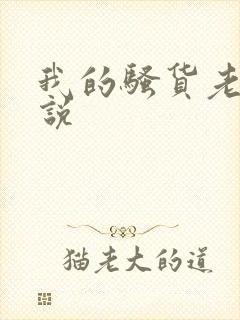 我的骚货老婆小说