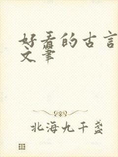 好看的古言小说文笔封面