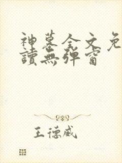 神墓全文免费阅读无弹窗封面