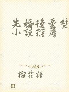 先婚后爱双男主小说推荐