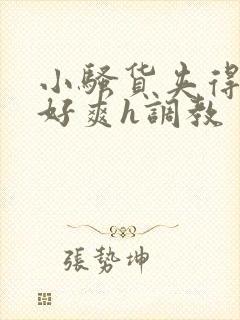 小骚货夹得真紧好爽h调教封面