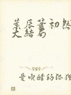 叶辰萧初然完结大结局