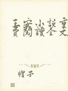 王安小说重生免费阅读全文