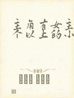 主角有女主20个以上的小说