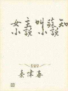 女主叫苏知意的小说 小说