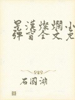 星汉灿烂小说无弹窗全文免费阅读封面