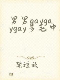 男男gaygaygay多毛中国