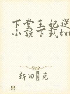 下堂王妃逆袭记小说下载txt