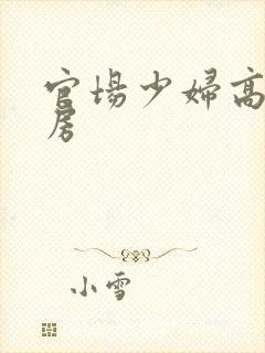 官场少妇高耸乳房