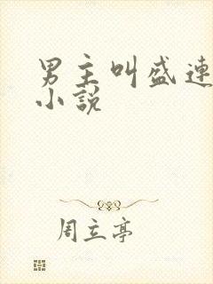 男主叫盛连玦的小说