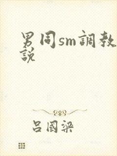 男同sm调教小说