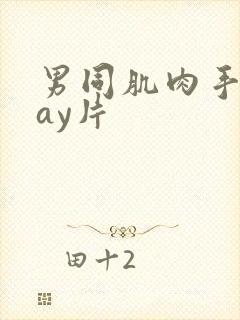 男同肌肉手淫gay片封面