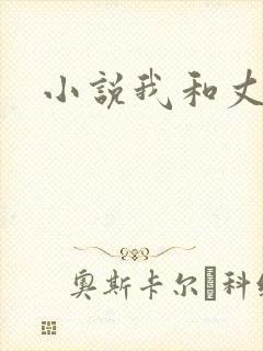 小说我和丈母娘