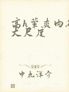 高h荤爽肉欲文大尺度