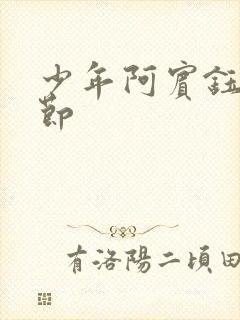 少年阿宾钰慧章节