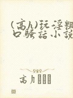 (高h)玩淫粗口骚话小说