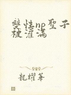 双性np圣子受被灌满