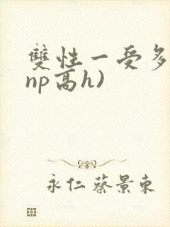 双性一受多攻(np高h)