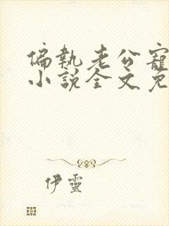 偏执老公宠上瘾小说全文免费阅读