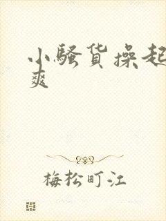 小骚货操起来真爽