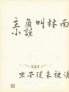 主角叫林南都市小说