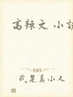 高辣文 小说