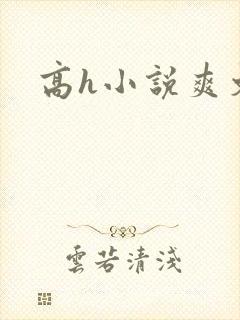 高h小说爽文