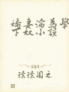 娇妻沦为学生胯下奴小说封面
