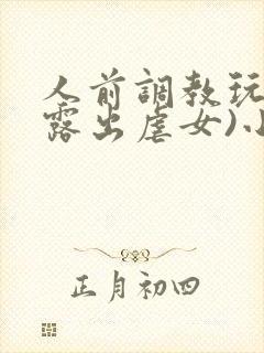 人前调教玩弄(露出虐女)小说