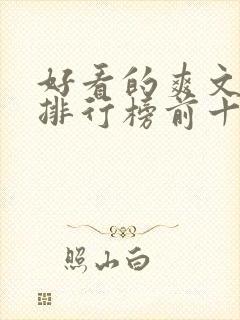 好看的爽文小说排行榜前十名封面