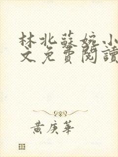 林北苏婉小说全文免费阅读