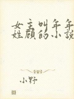 女主叫年年男主姓顾的小说