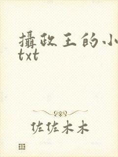 摄政王的小闲妻txt