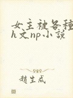 女主被各种调教h文np小说封面