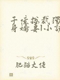 千亿总裁独宠替身娇妻l小说封面