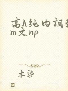 高h纯肉调教sm文np