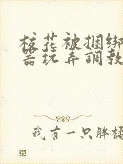 校花被捆绑用性器玩弄调教小说封面