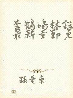 李鹤鸣林钰小说最新章节免费阅读