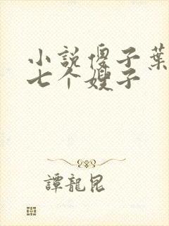 小说傻子叶凡和七个嫂子