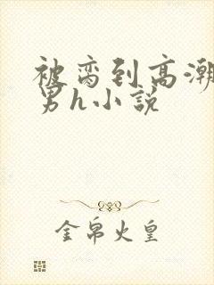 被脔到高潮的直男h小说